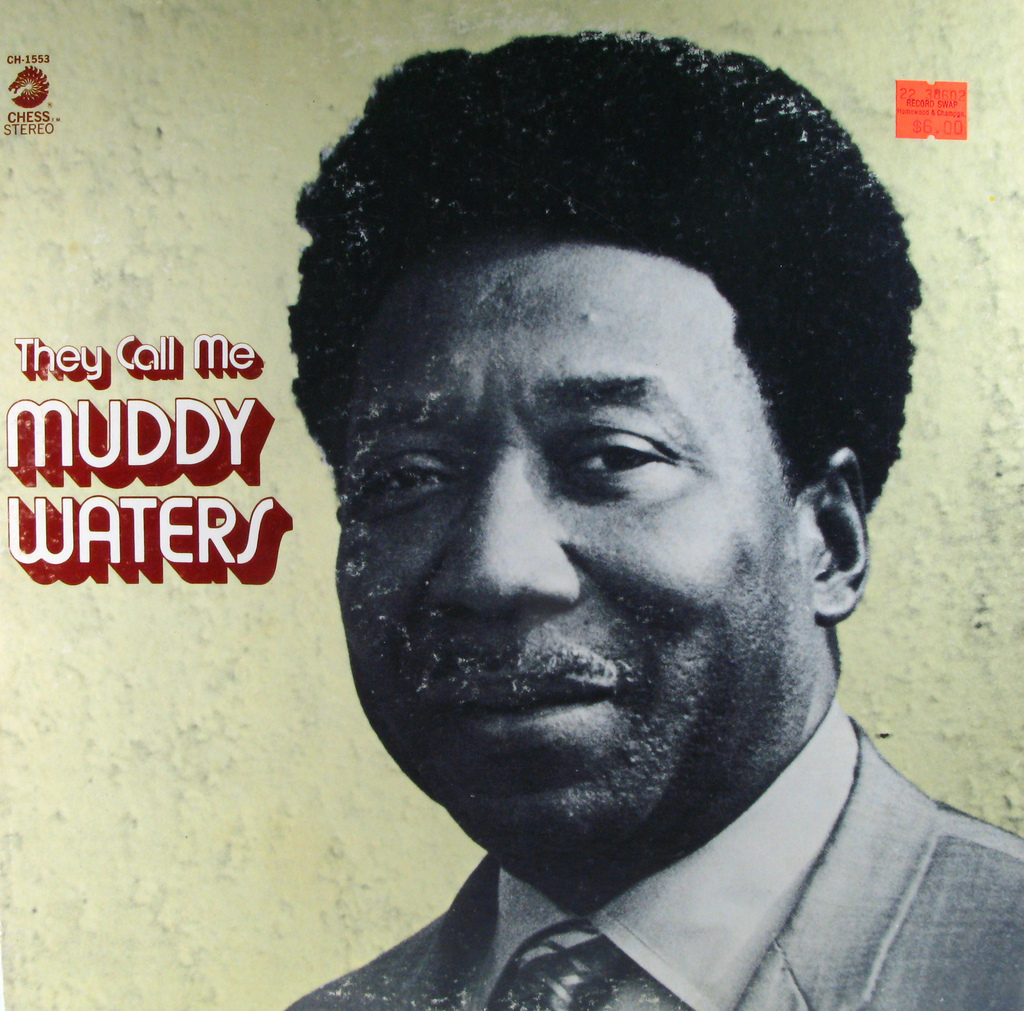 They Call Me Muddy Waters Record