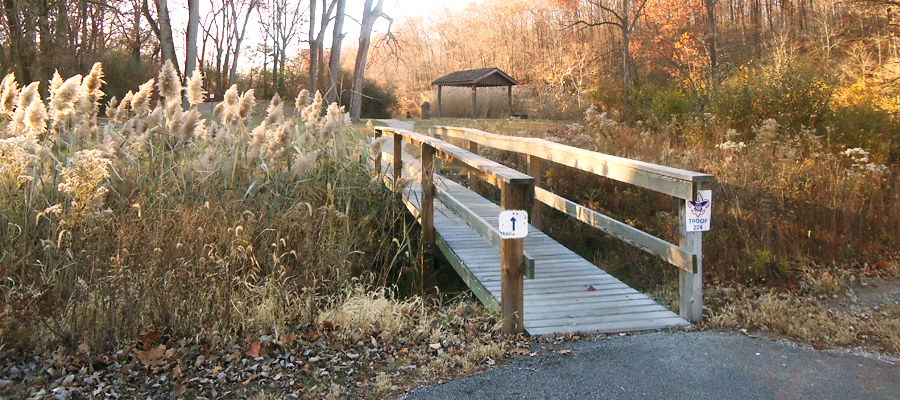 Illinois park of the month: Kickapoo State Recreation Area