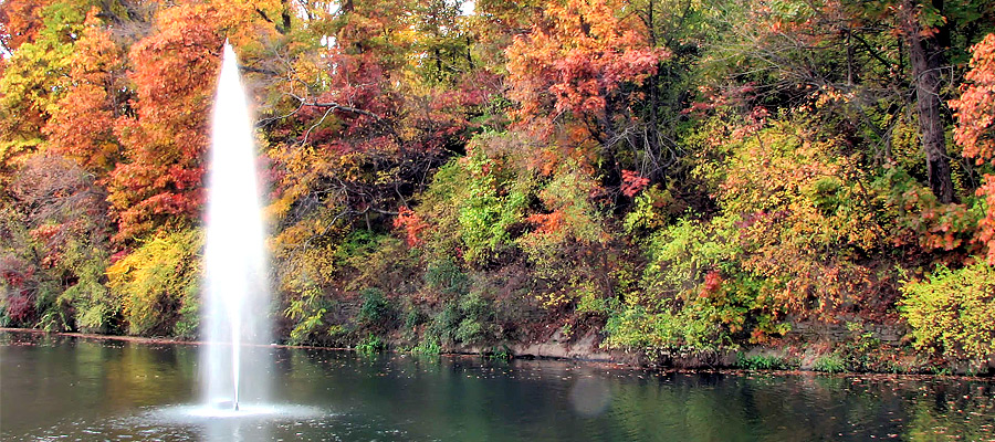 Illinois park of the month: Siloam Springs State Park