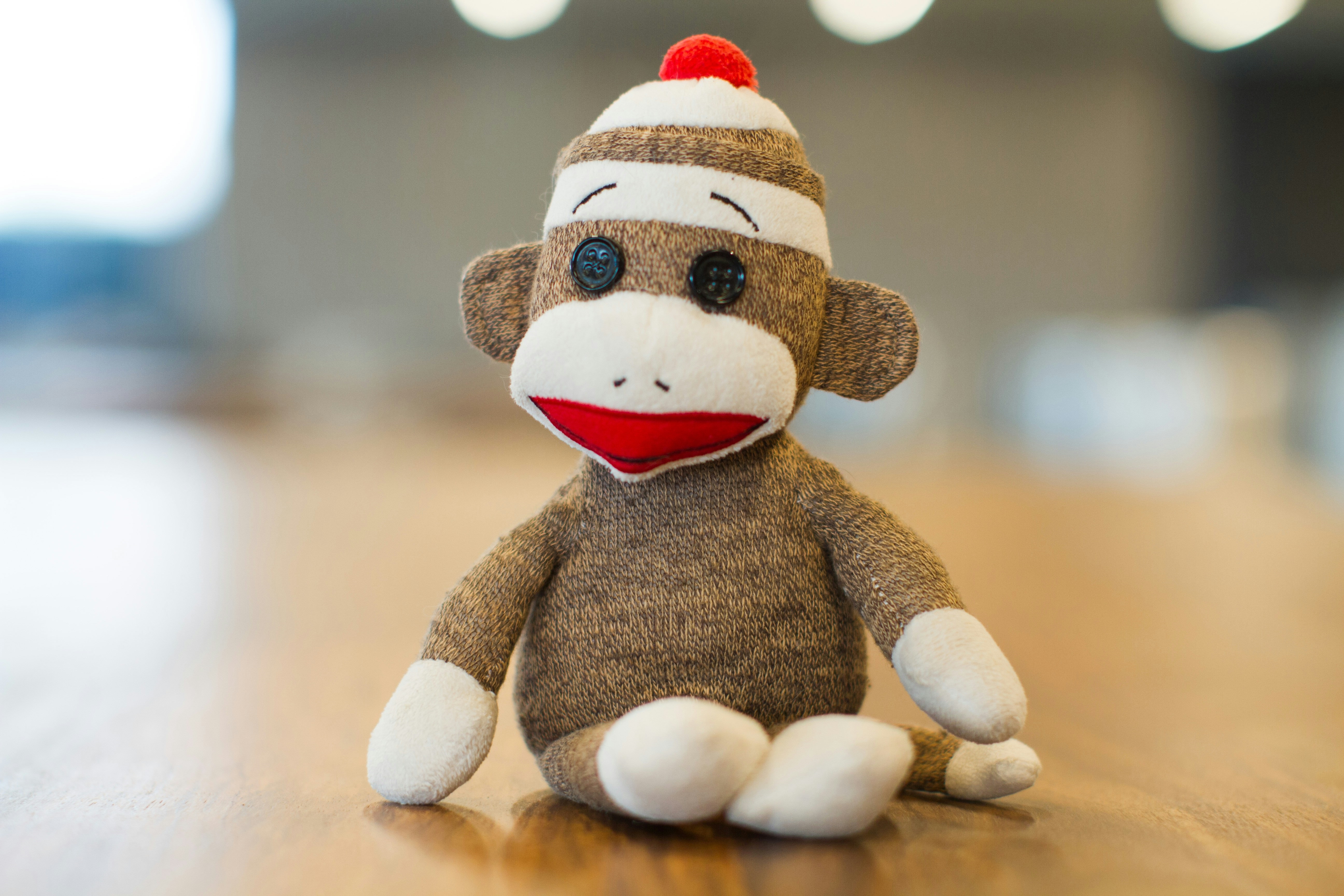 Sock Monkey