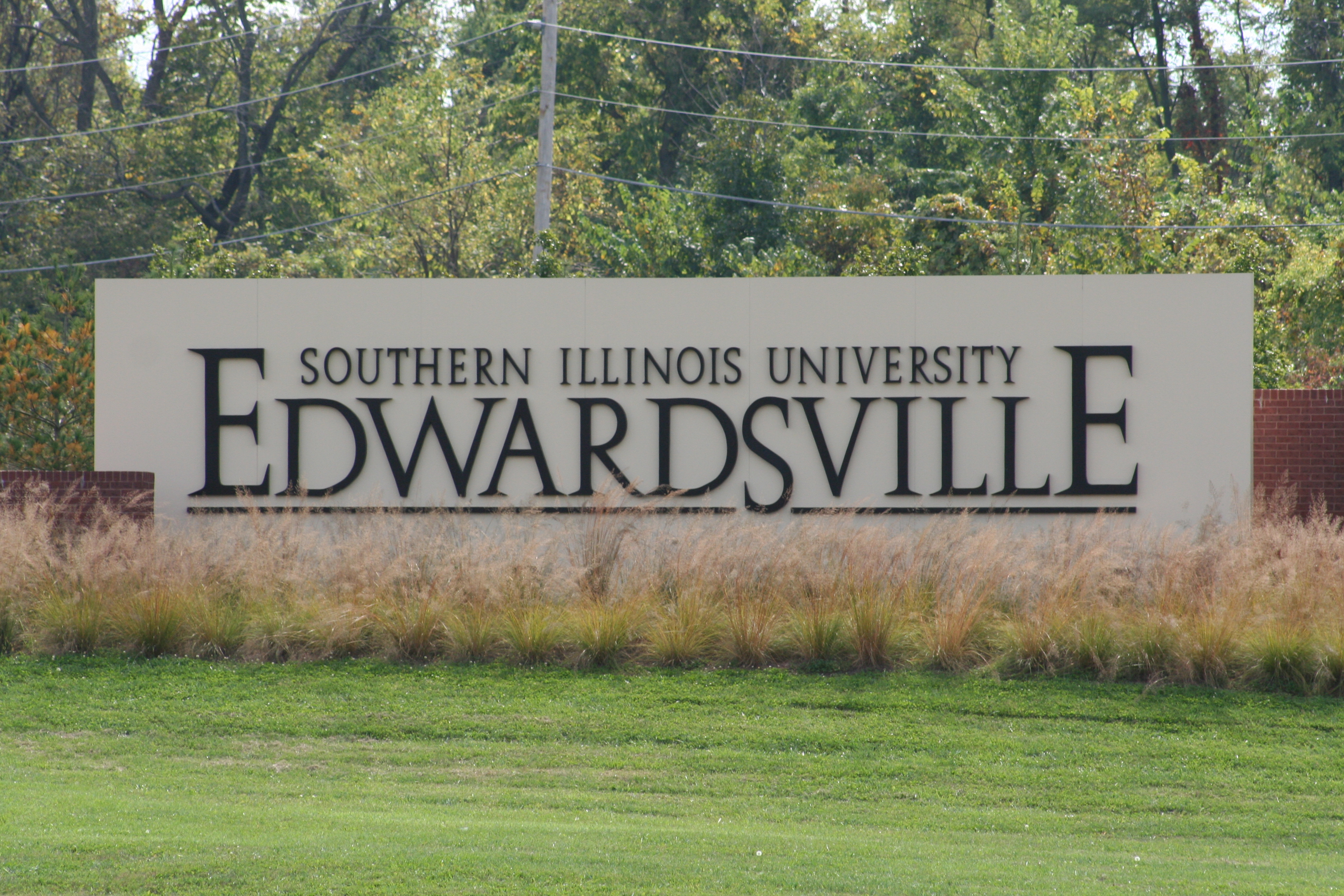 I Like Illinois SIUE pic