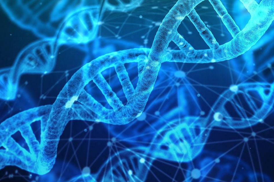 DNA strand