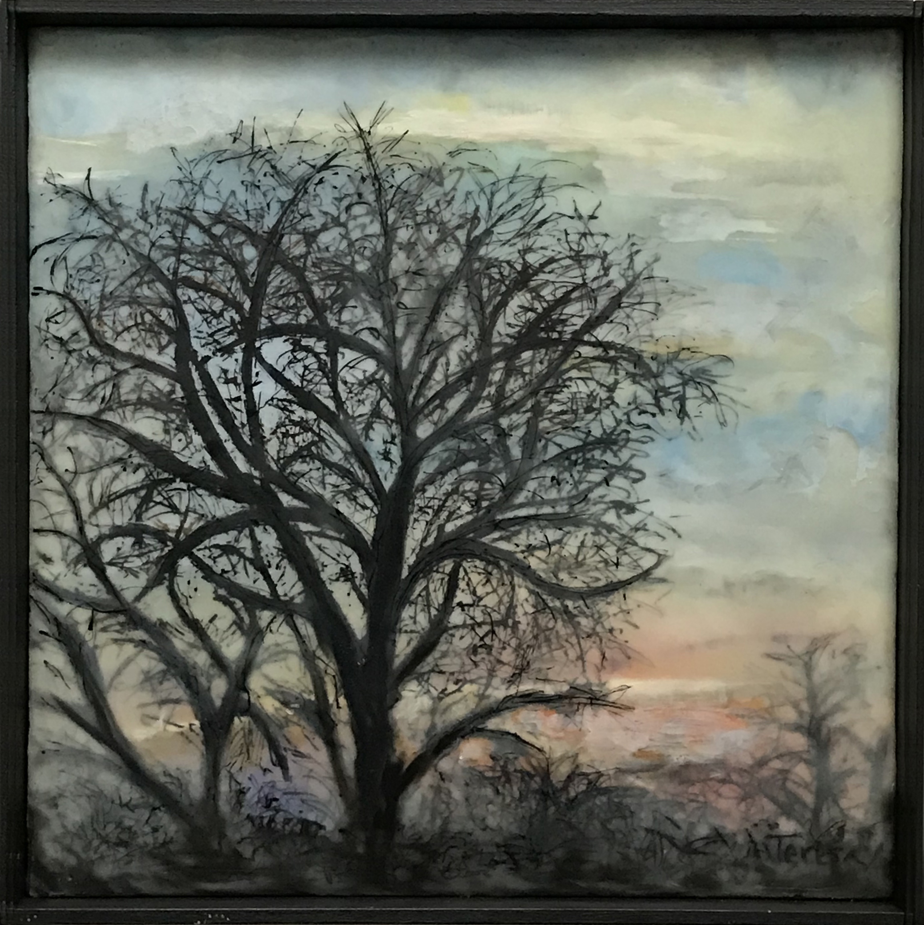 Steadfast like a tree 1 13 19