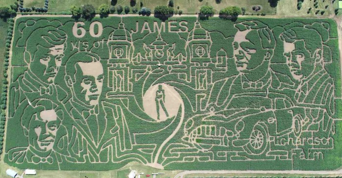 corn maze