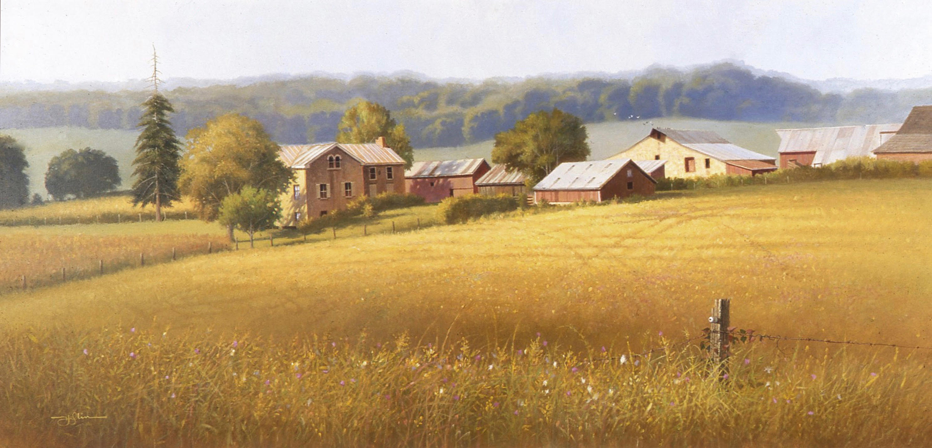 june tom landscape