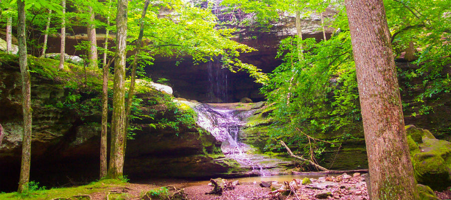 Ferne Clyffe State Park 