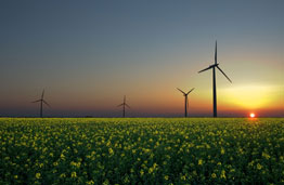 Renewable-260