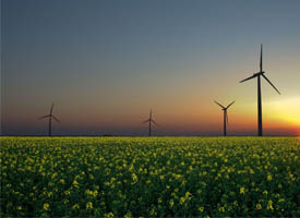 Did You Know? Illinois is the number one producer of biomass in the U.S.
