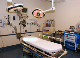 Did You Know? Illinois is home to eight nationally ranked hospitals