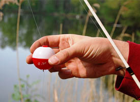 Did You Know? Illinois has some of the best fishing lakes in the Midwest